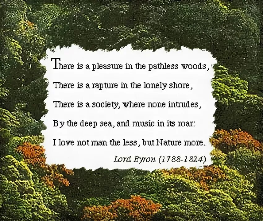 Pathless woods. There is a pleasure in the pathless woods.
