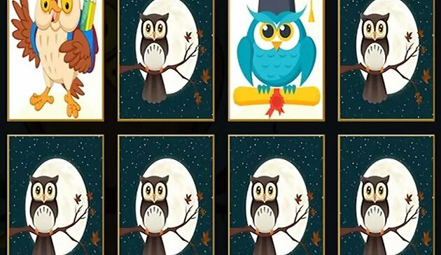 Игра сова угадай. Игры карточные совы. сова играет в карты. игра про сову и безликого. три совы игра на логику.