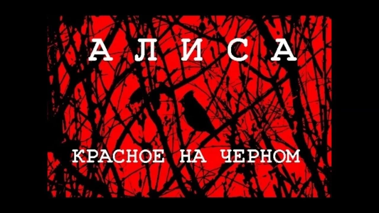 Красное и черное. Красное на чёрном Алиса. Группа Алиса красное на черном. Альбом Алисы красное на черном. Алиса песня красная