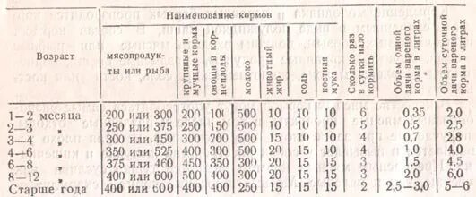 Сколько кормить щенка 5 месяцев. Кормление щенка гончей 6 месяцев. Кормление щенка гончей 2 месяца. Рацион 3 месячного щенка. Меню для щенка 5 месяцев.