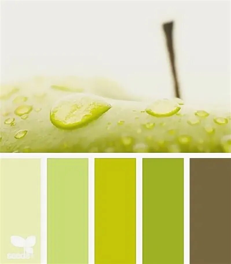 Color pallet Дизайн семена, Цветовые схемы, Комбинированные цвета