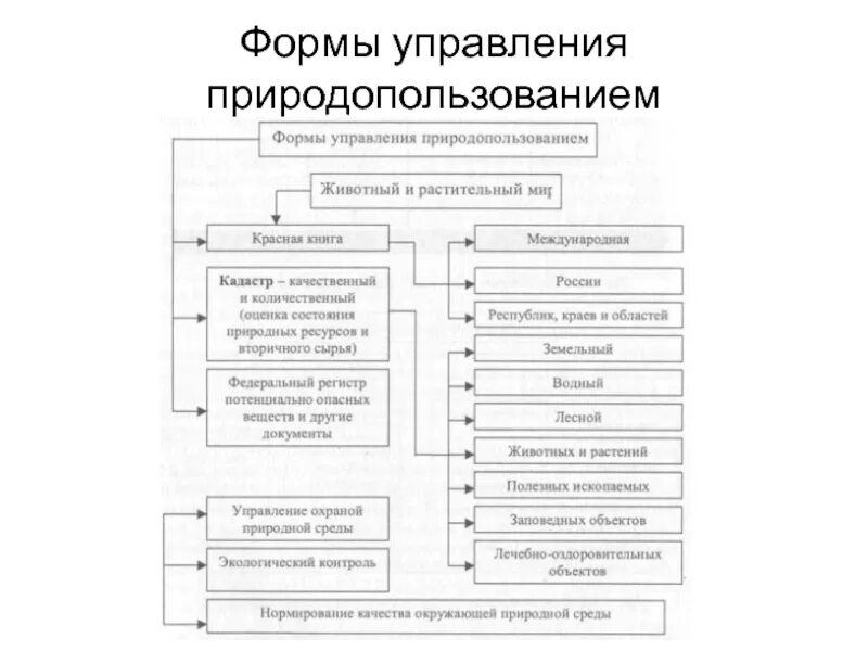 Государственные органы управления природопользования