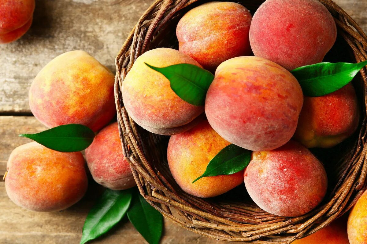 Peach apricot