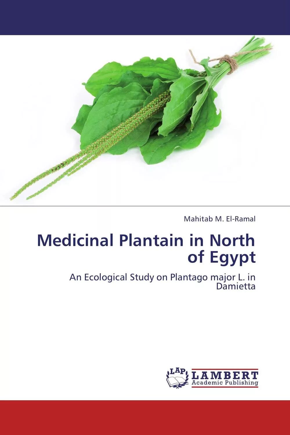Лекарственные растения фармакогнозия. Брусника лрс. Medicinal properties. Medicinal powder. Лекарственные растения фармакогнозия.