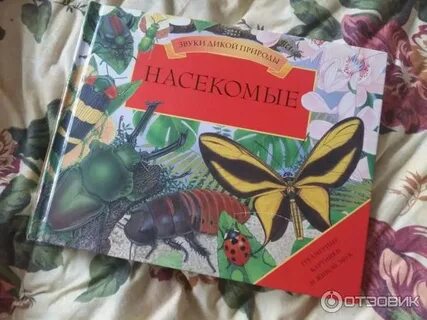 Сюрприз природы