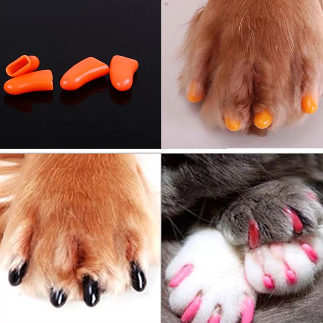 Груминг стрижка когтей. Стрижка когтей щенку. Правильная стрижка когтей у собак. Подстригание когтей у собак. Стрижка когтей у животных.