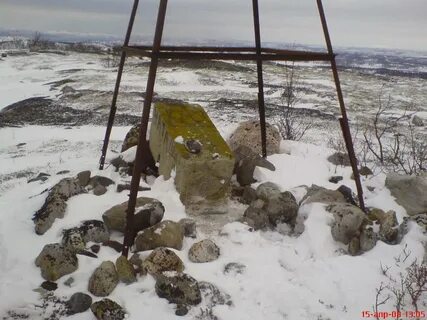 Замерла форумах