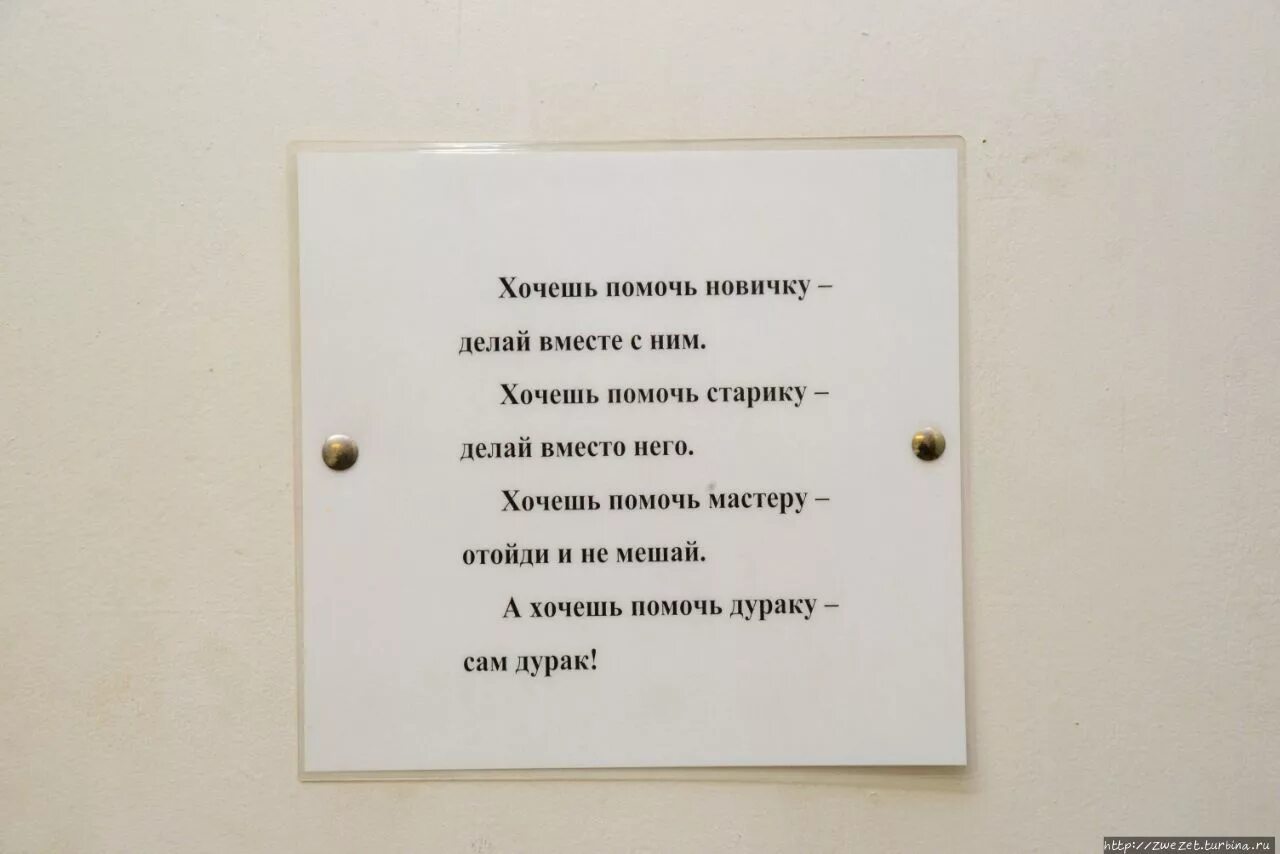 Хочу помочь россии. Хочешь помочь новичку делай. Если хочешь помочь новичку делай вместе с ним. Хочешь помочь мастеру. Хочешь помочь дураку сам дурак.