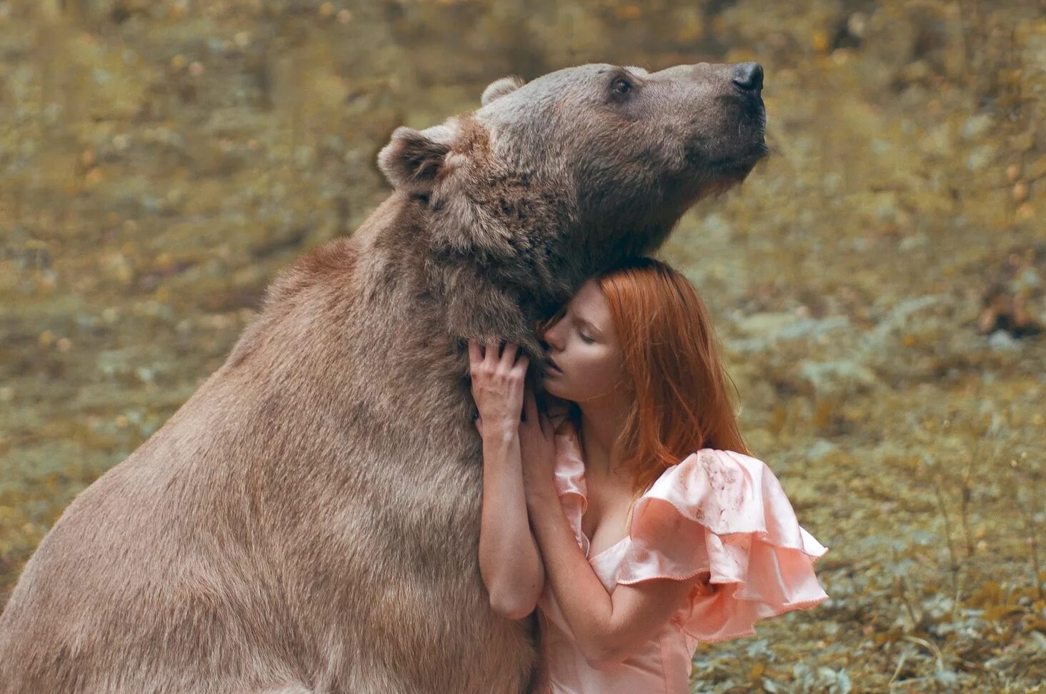 Woman with animals. Катерина Плотникова медведь. Девушка и медведь. Фотосессия с дикими животными. Дикие животные и человек.