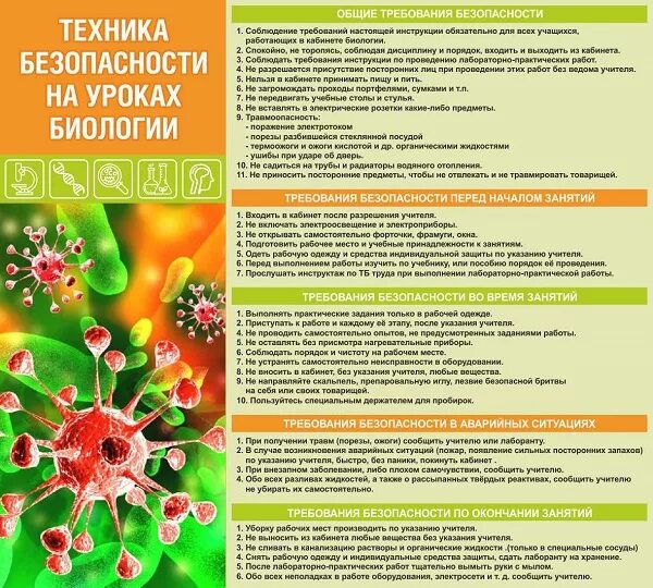 Правила поведения на уроке биологии в 5 классе. Правила работы в кабинете биологии. Тб в кабинете биологии. Безопасность на уроке химии. Правила поведения на уроке биологии.
