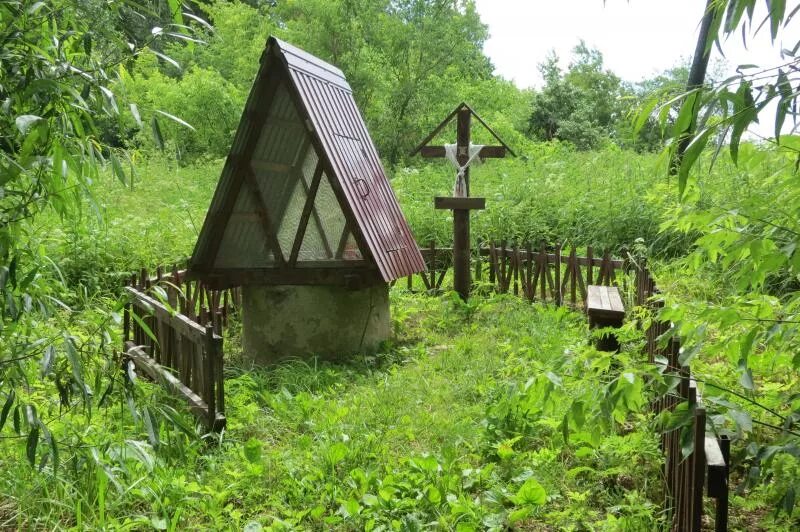 Родники д 2. Крыница Родник. Криница Белоруссия источник. Трофимова Криница Беларусь. Родник Криница Белгород.