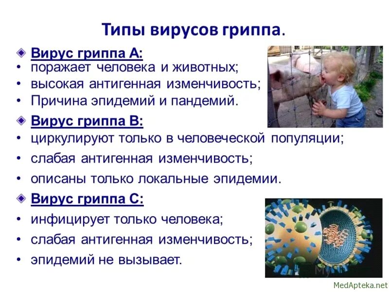 Грипп положительный