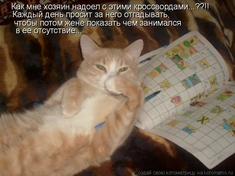 счастье в глазах. девушка сидит на чемодане. умные мысли про учителей. каждый день просишь. то что вы имеете каждый день кто-то.