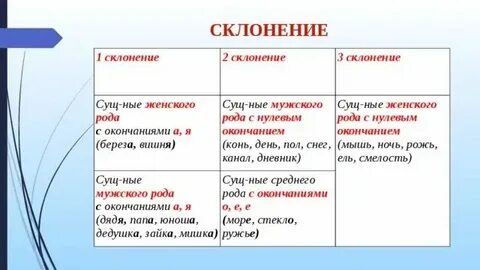 Склонения береза