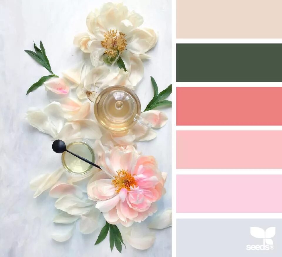 Цветовая палитра color. Палитры для ос. Колор романюк палитра. Палитры д. Цветовые палитры сидс.