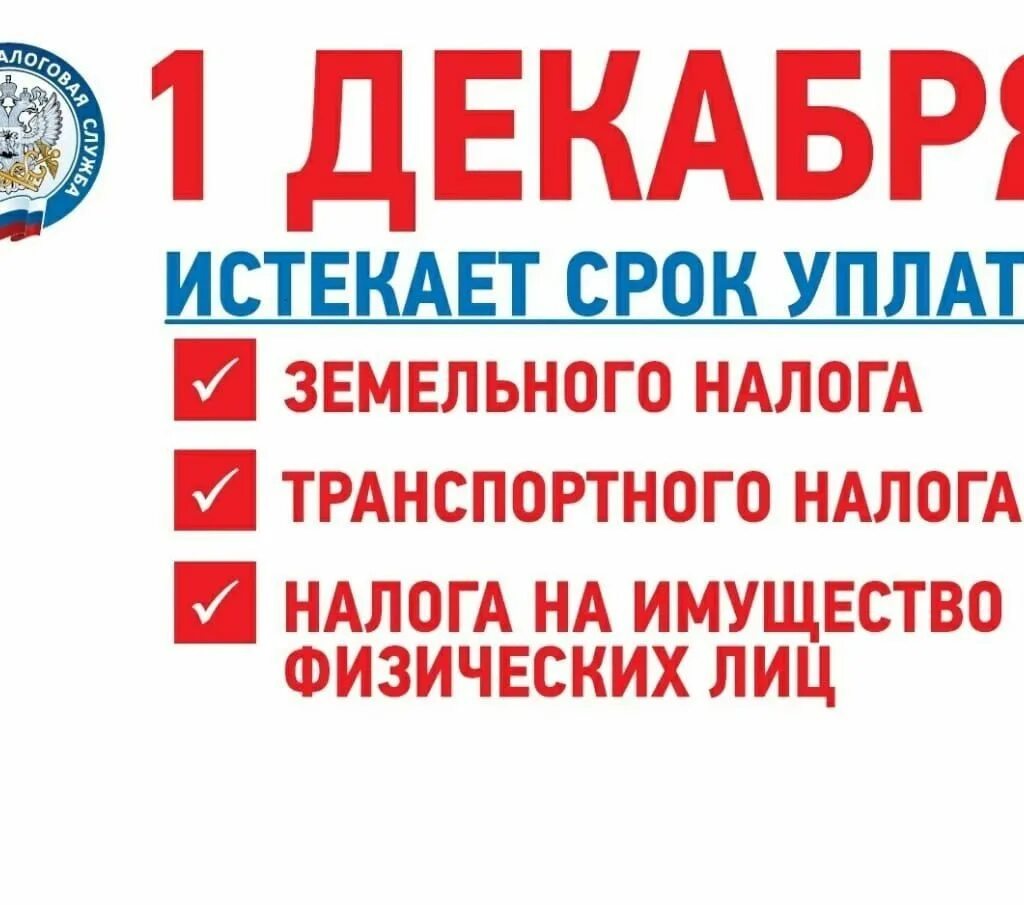 Не идентифицирован срок уплаты. Срок уплаты. 1 декабря истекает срок уплаты имущественных налогов. срок уплаты налогов до 1 декабря. 1 декабря срок уплаты имущественных налогов 2025.