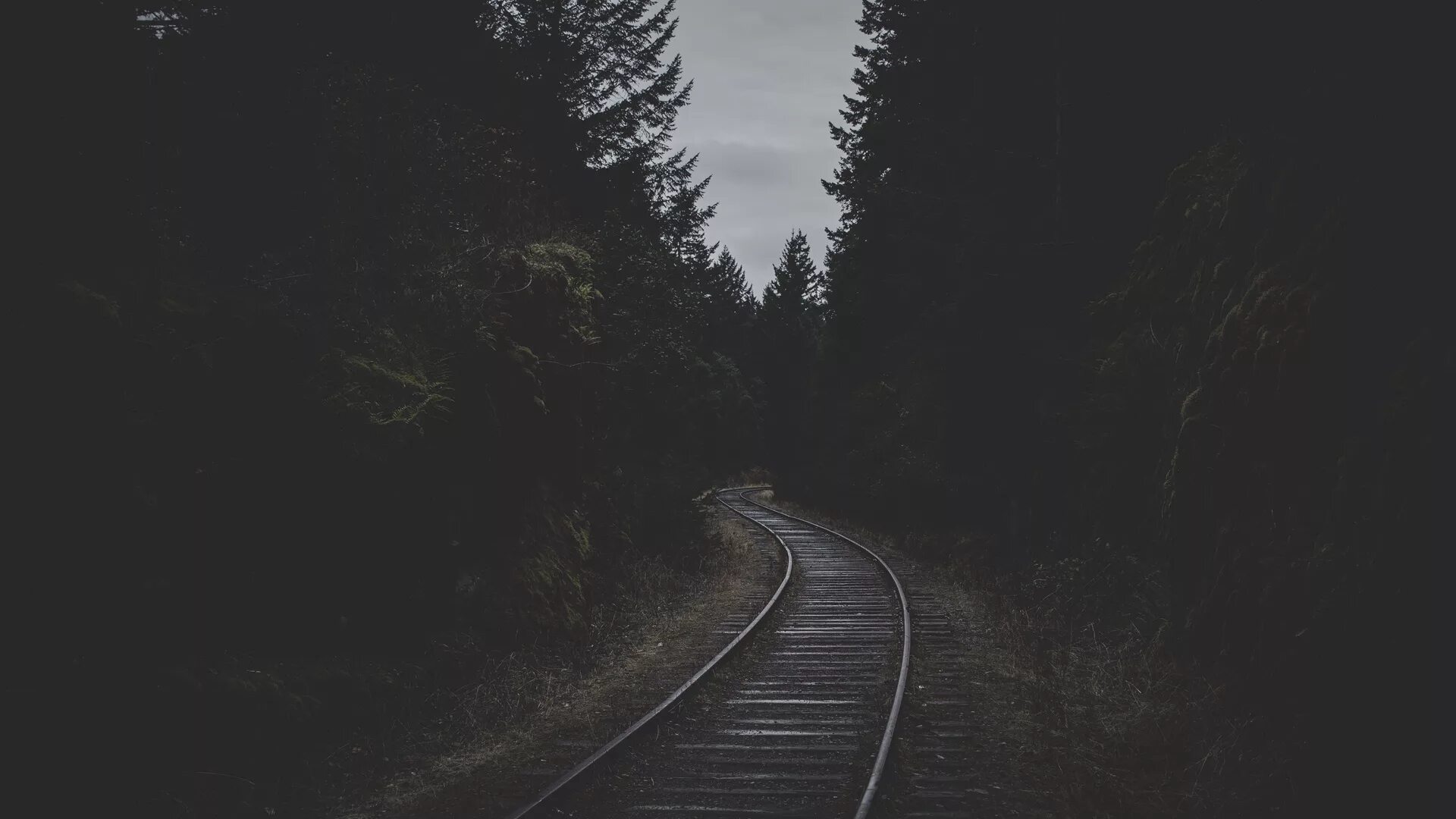 Трек темнота. Темная дорога в лесу. Мрачная железная дорога. Железная дорога в лесу. Мрачные обои.