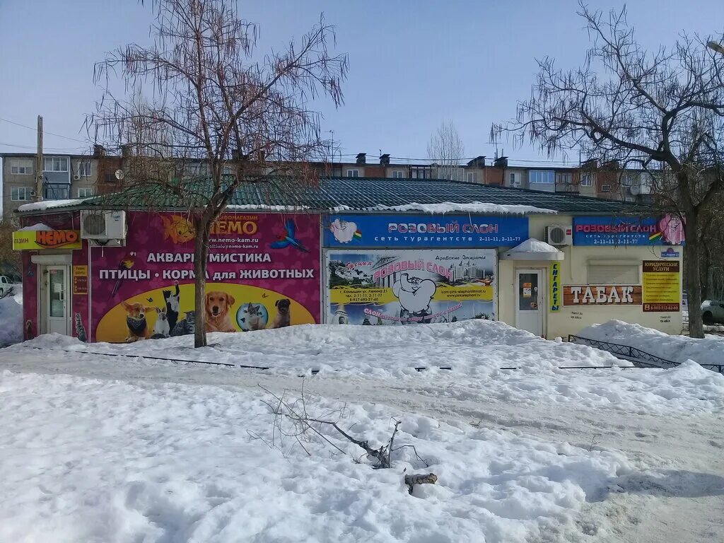 ленина 21 камышин. ленина 7а камышин. зоомагазин немо камышин 5 мкр. зоомагазин немо камышин ленина. виктория аксенова кирсанов.