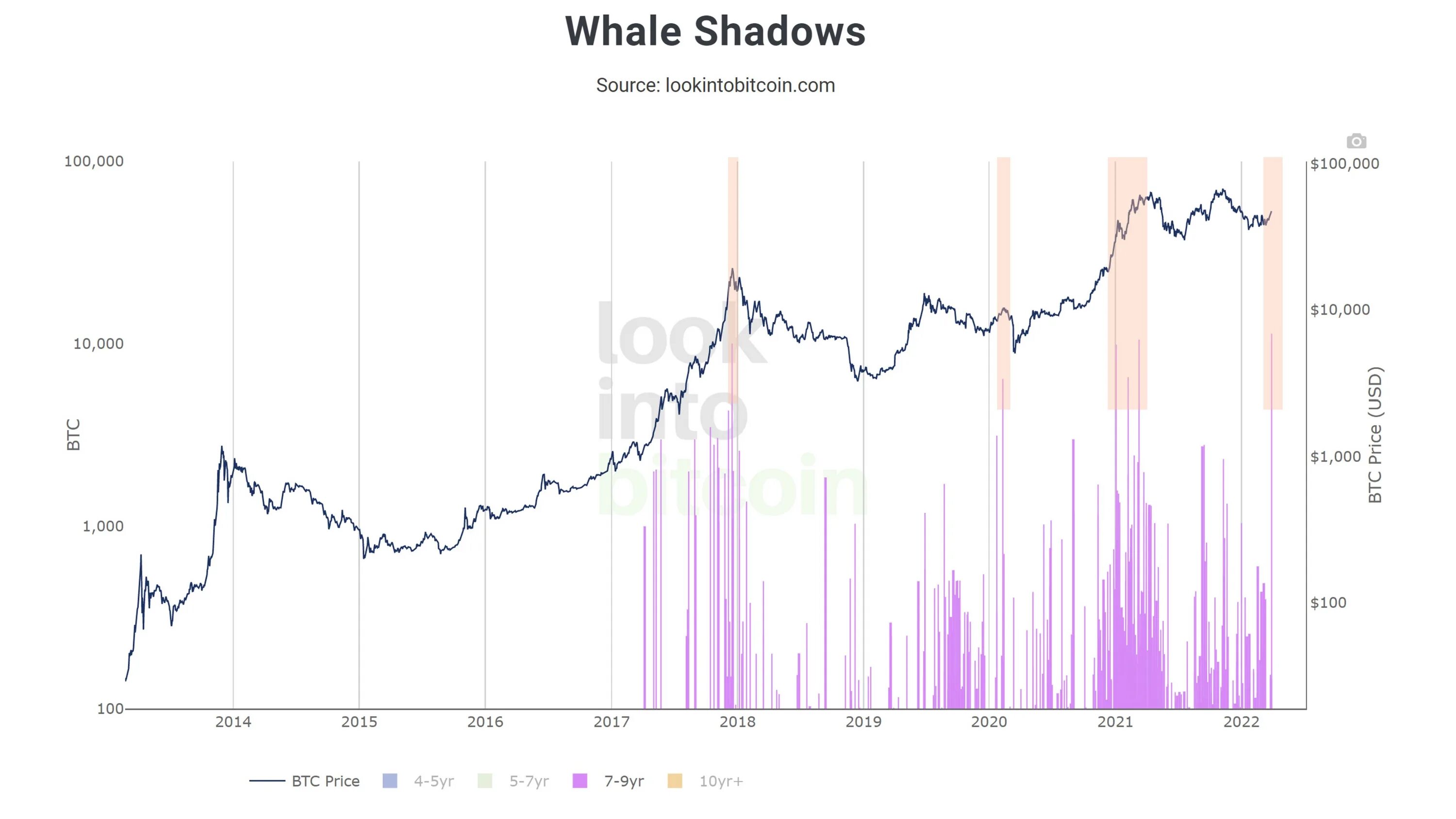 Top 10 bitcoin whales part 2 код. Bitcoin курс график. один биткойн. стоимость биткоина в 2000 году. putincoin криптовалюта.