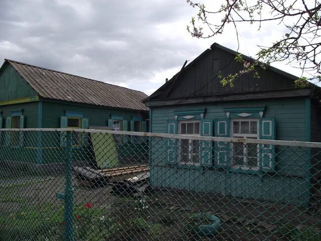 Дома поселок целина. Улица 6 дом 161 ростовская область целина. целина лесная дом. посёлок целина новосибирская область. дома в целинных поселках.