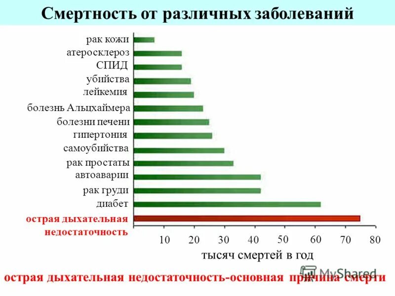 Причины смертности в россии статистика. Сколько процентов умирает. Сколько процентов умирает. Статистика смертей от болезней. Статистические данные инсульта в россии.