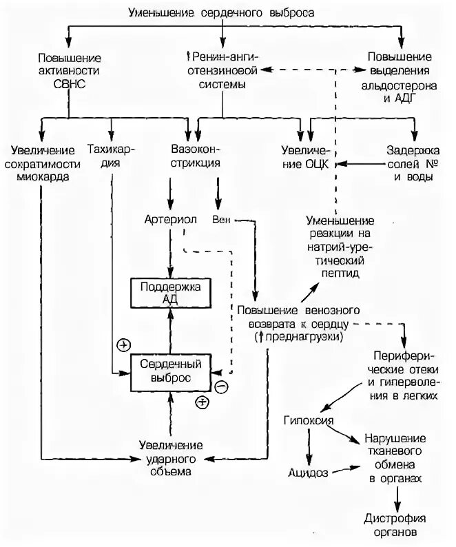 Сердечная недостаточность схема. Хроническая сердечная недостаточность патогенез схема. Патогенез хронической сердечной недостаточности. Патогенез ХСН схема. Схема патогенеза сердечной недостаточности.