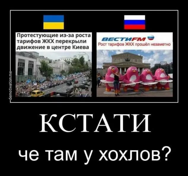 Ни не стройный
