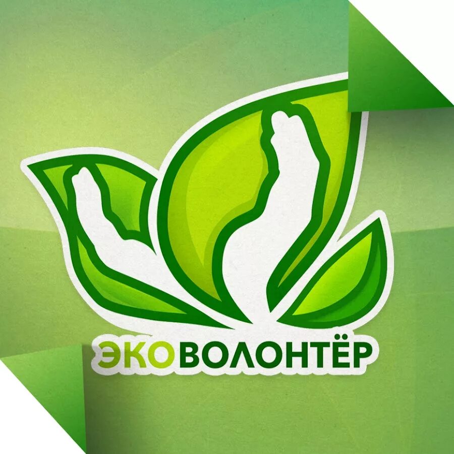 Волонтёры могут все". Итоги регионального этапа
