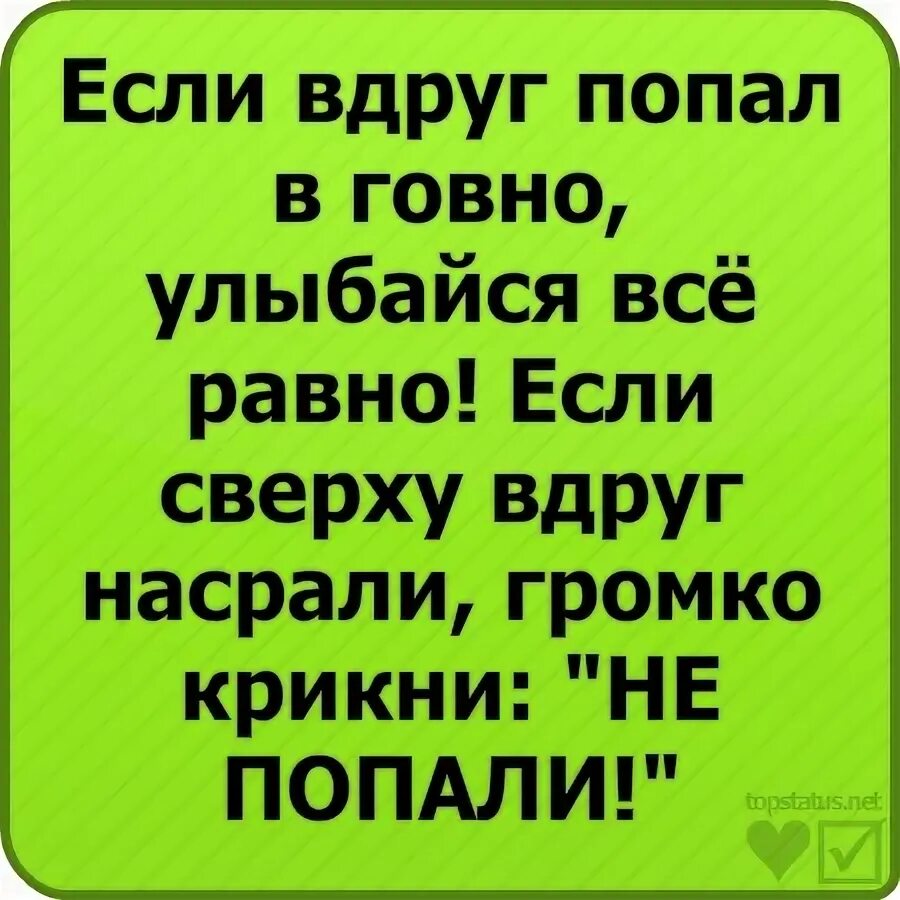 Крикни громко не попали. Если вдруг то. Если ты попал в дерьмо улыбайся. Вдруг тебе 12