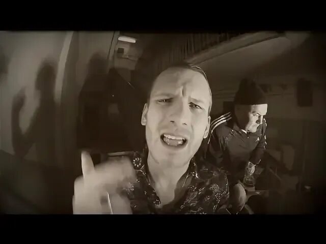 Сява птицы белые
