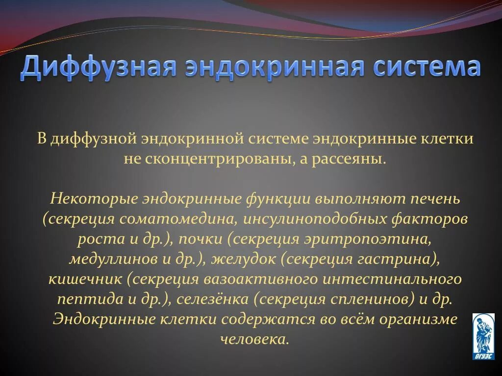 Диффузия эндокринной системы. Диффузная эндокринная система. Диффузная эндокринная система простыми словами. Диффузная эндокринная система доклад. Диффузная функция