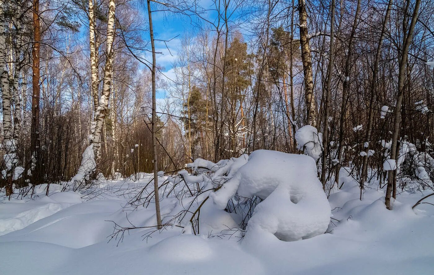 5 февраля 2015. 5 Февраля фото. Пятое февраля. Распотешился февраль фотосайт. Slimnīca Gaiļezers 5 февраля.