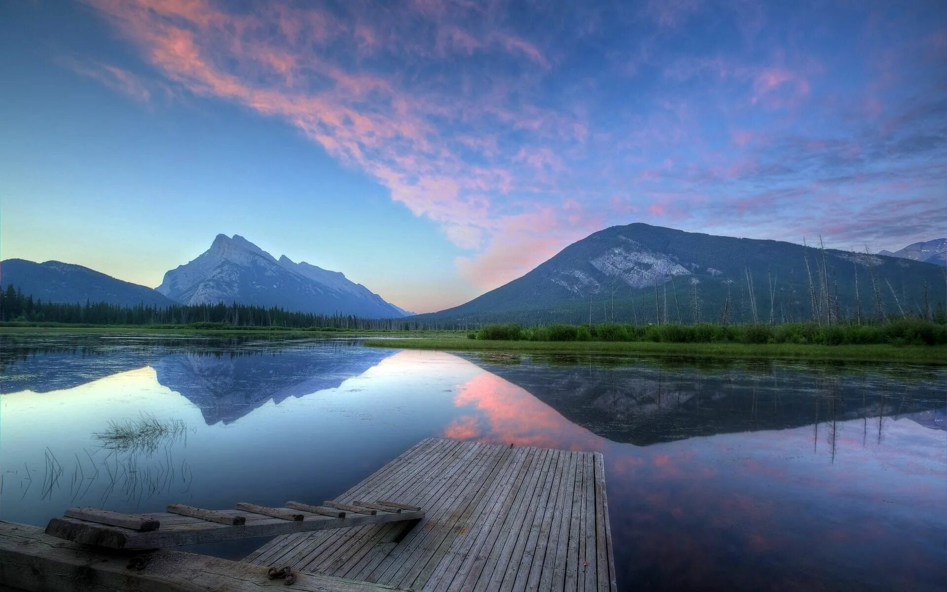 Webp background