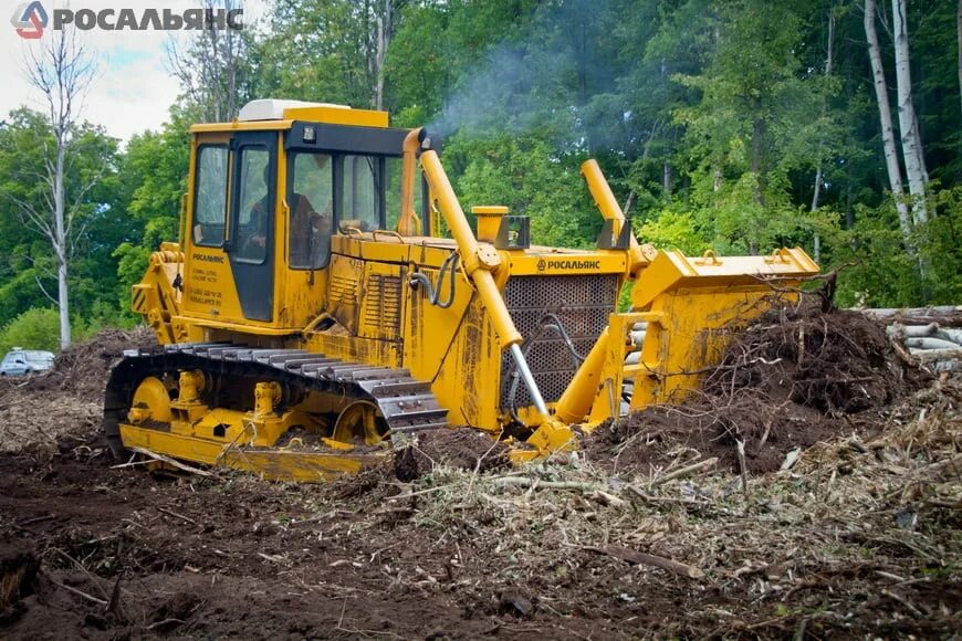 Корчевка пней бульдозером т100м. Корчеватель на бульдозер б10м. Бульдозер т10 с корчевателем. МП-2б корчеватель.