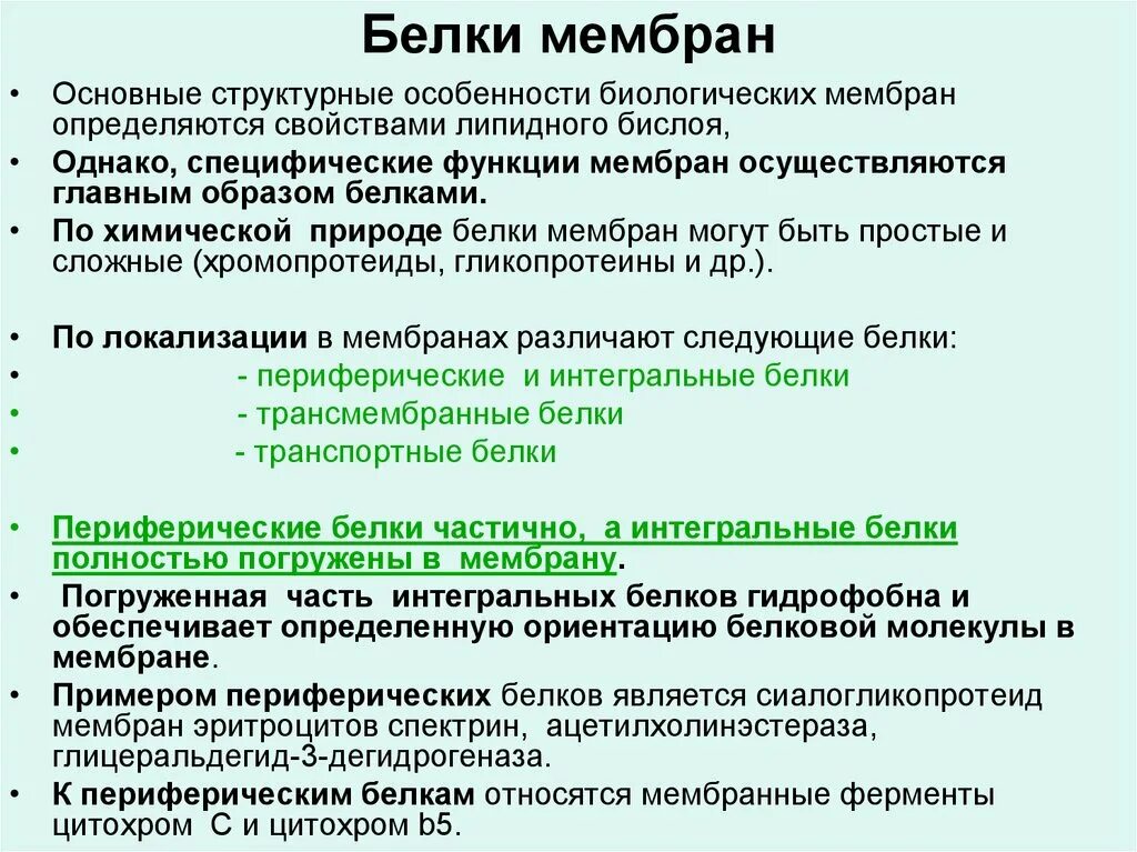 Мембранные белки классификация функции. . Характеристика белков мембраны; строение и функции.. Особенности строения мембранных белков. Мембранные белки их роль..