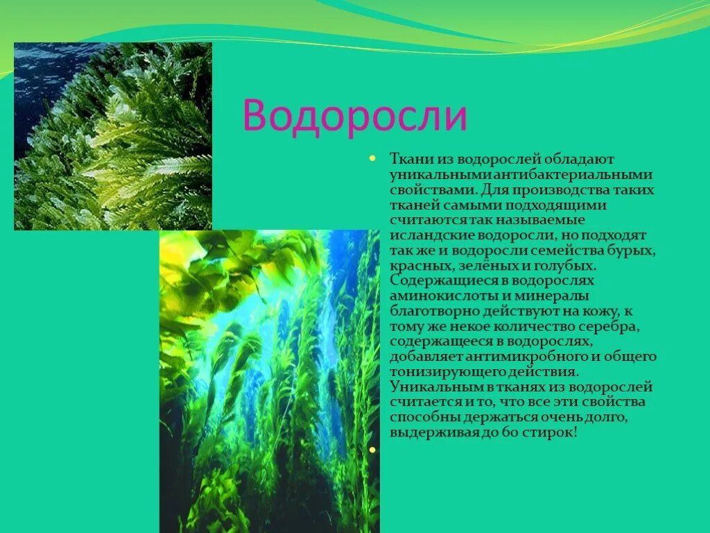 Понятие водорослей. Сообщение о водорослях. Доклад про водоросли. Краткое сообщение о водорослях. Сообщение об водораслях.