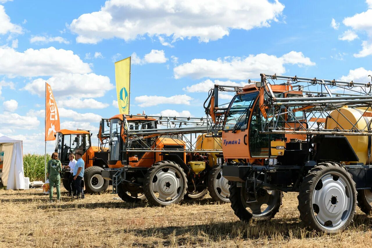 элеватор саратов. племенной завод мелиоратор саратовская область. труженики сельского хозяйства. отрасли сельского хозяйства саратовской области. горный саратовская область завод.