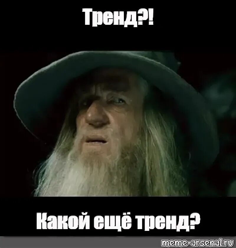 Девочка в тренде мем Главные мемы декабря 2023: Вы не готовы все к хомякам в шляпе и к таким ценам на
