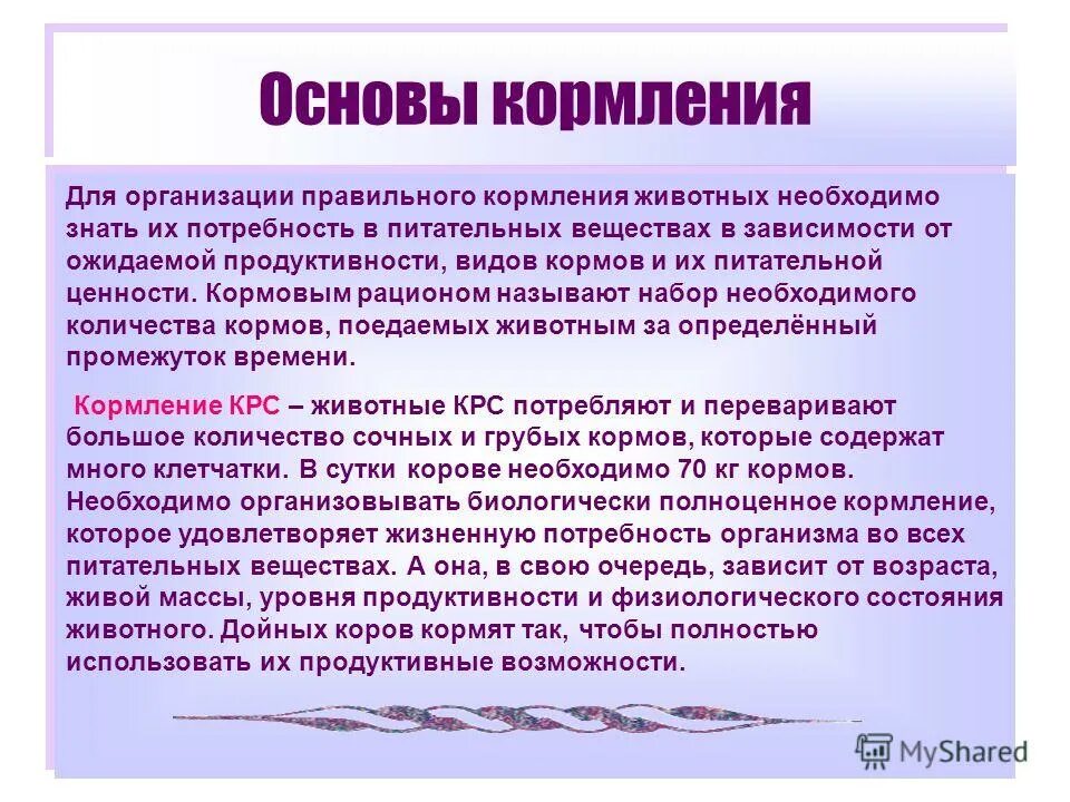Основы кормопроизводства и кормления животных таблица. Кормление коров. Корма для крс. Буклет кормовые добавки для крс. Значение полноценного кормления животных.