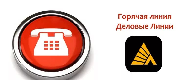 Горячая линия дикси. Хофф горячая линия. Хофф горячая линия. Хофф горячая линия 8800. Хофф номер горячей линии.