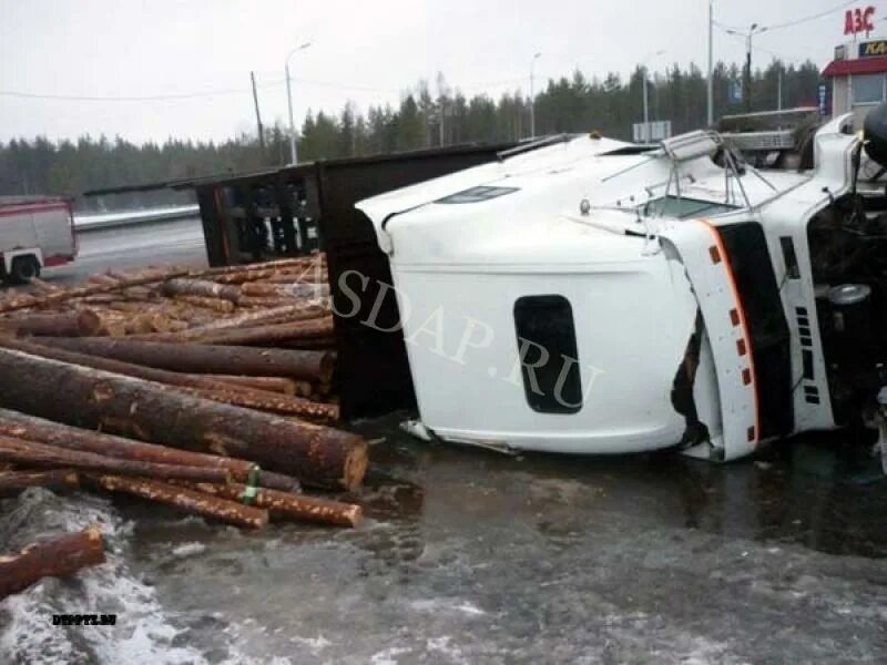 карельский лесовозы. сортиментовоз volvo улк. скания лесовоз 6х6. лесовоз сегежа. скания лесовоз улк.