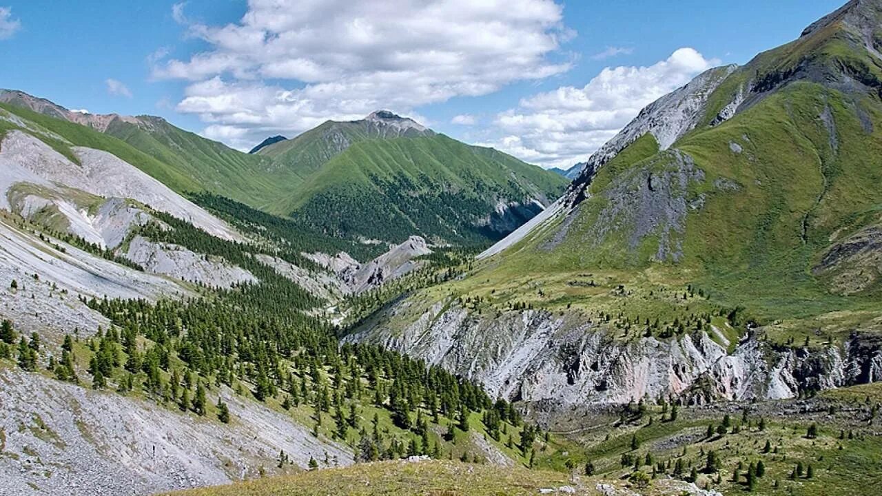 Куда горных. Южно-Сибирские горы Саяны. Горы Южной Сибири Алтай Саяны. Восточные Саяны Тункинские гольцы. Восточная Сибирь хребет Алтая.