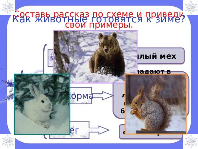 Окружающий мир проект животные зимой 2 класс Презентация по окружающему миру "Птицы и животные зимой" 1 класс
