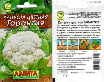 Цветная капуста сорт гарантия