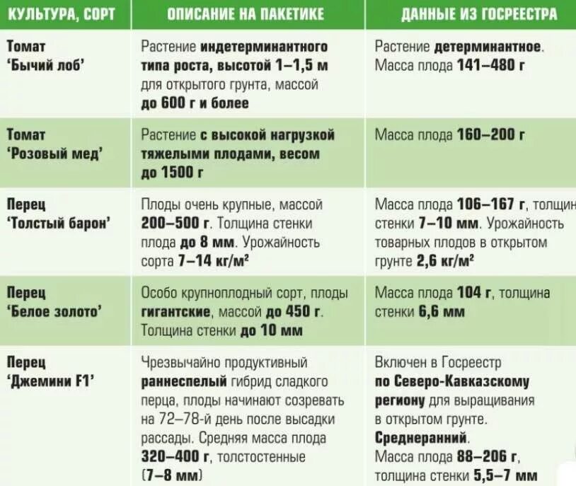 Томаты фирмы партнер для открытого грунта низкорослые. Томаты госреестра. Томаты озеро надежды описание сорта. Томат новичок фото. Томаты госреестра.