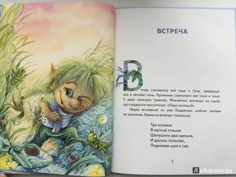 Книга хорошая мечта. Ее мечта читать