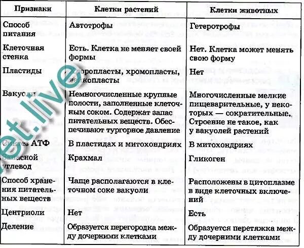 Отличия растительной и животной клетки таблица. Пластиды растительной клетки и животной клетки таблица. черты отличия растительной и животной клетки таблица. сравнение растительной и животной клетки таблица цитоплазма. сходства и отличия растительной и животной клетки таблица.