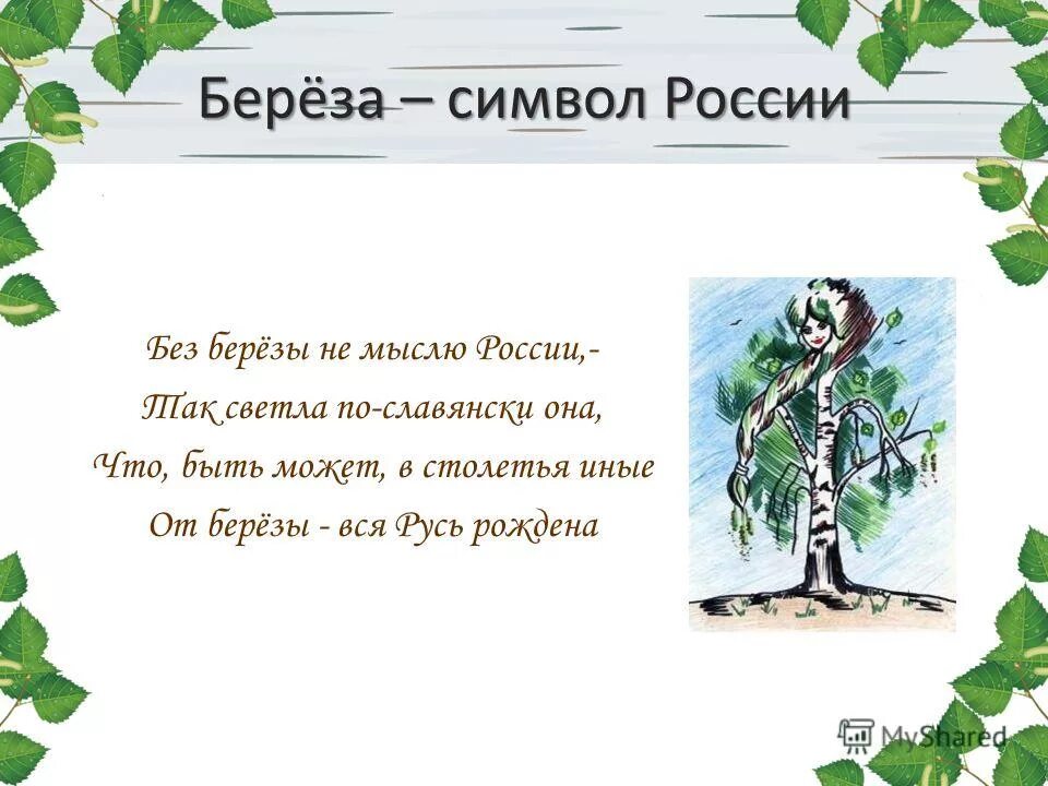 Береза символ россии презентация