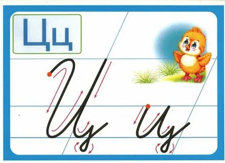 Строчная ц