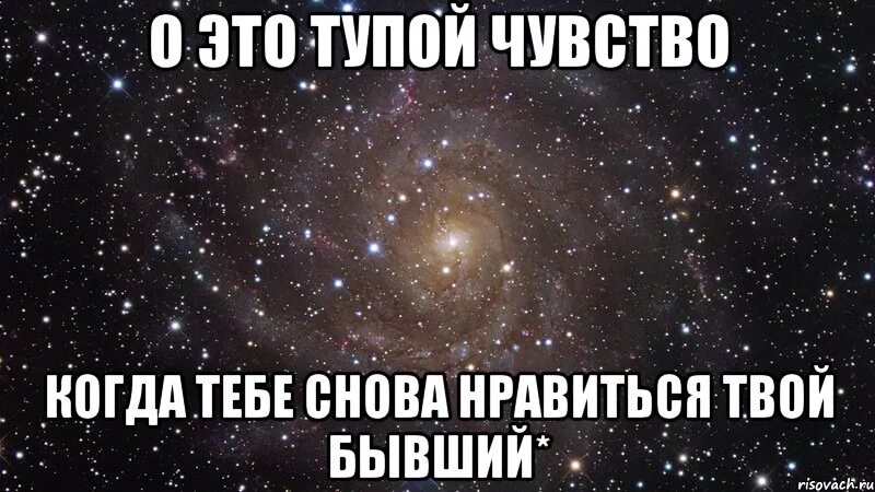 Люблю бывшего Мем. Твоя бывшая Мем. Тебе тебе снова тебе. Это тебе это снова тебе. Ты снова лучше всех